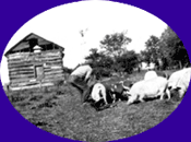 Northfield Historical Society